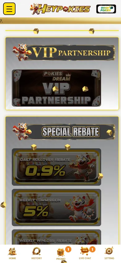 Heypokies Casino promotions on a mobile device